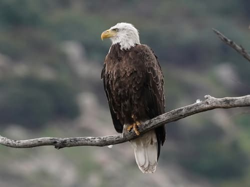 (c) Glenn Perelson, some rights reserved (CC BY-NC), uploaded by Glenn Perelson
