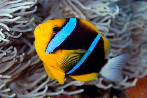 (c) terence zahner, some rights reserved (CC BY-NC), uploaded by terence zahner