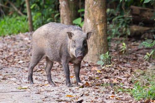 (c) budak, some rights reserved (CC BY-NC), uploaded by budak
