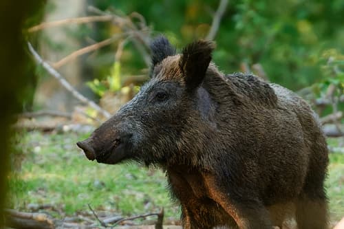 (c) Nathalie Hausser, some rights reserved (CC BY-NC-ND)