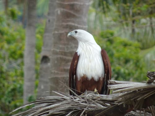 (c) Virgile Noble, some rights reserved (CC BY-NC), uploaded by Virgile Noble