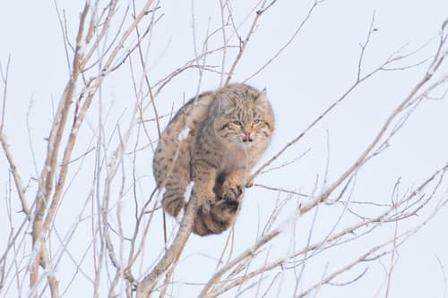 (c) andriy, some rights reserved (CC BY-NC), uploaded by andriy