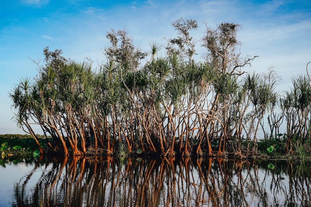 Kakadu National Park