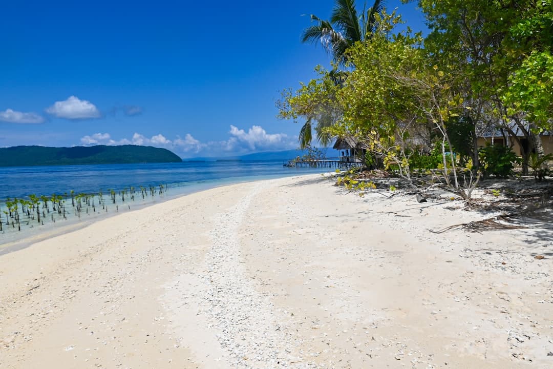 Raja Ampat